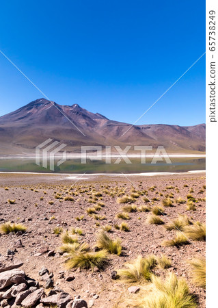 Lagunas Altiplanicas, Miscanti y Miniques, amazing view at Atacama Desert. Chile, South America. Lagunas Altiplanicas, Miscanti y Miniques, amazing view at Atacama Desert. Chile, South America. 65738249