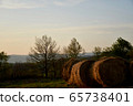 黃昏牧場 65738401