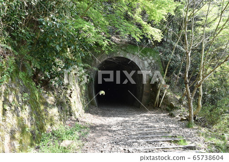 Fukuchiyama Line Abandoned tunnel Fukuchiyama Line Abandoned tunnel 65738604