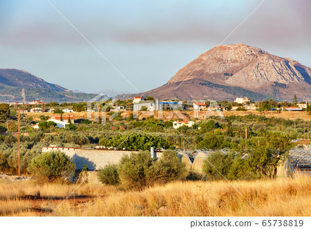 Olive groves lit by bright sunlight in the valley 65738819