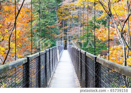 Retrospective suspension bridge and autumnal scenery Autumn (Nasushiobara City, Tochigi Prefecture) Taken in November 2019 65739158