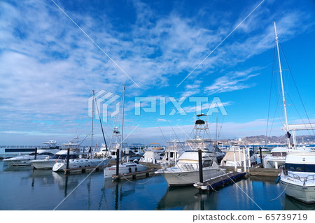 早上祖志碼頭 65739719