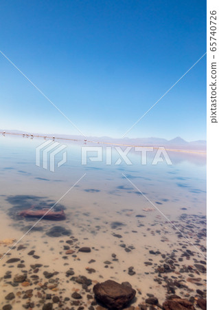 Laguna Chaxa, Atacama Desert, Chile. South America. 65740726