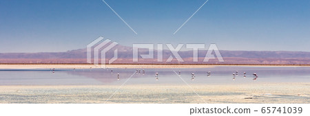 Laguna Chaxa, Atacama Desert, Chile. South America. Laguna Chaxa, Atacama Desert, Chile. South America. 65741039
