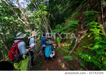 小gas原徒步 小gas原徒步 65742504