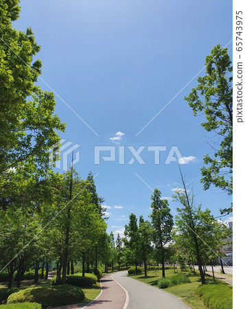 Picturesque weather 65743975