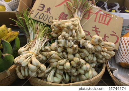 Island island Island island 65744374