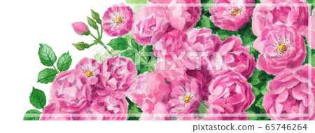 博客標題圖片粉紅玫瑰 博客標題圖片粉紅玫瑰 65746264