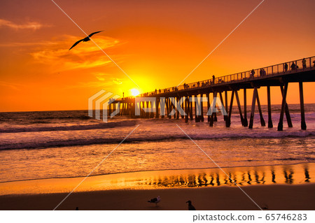 Los Angeles beach bridge and birds 65746283