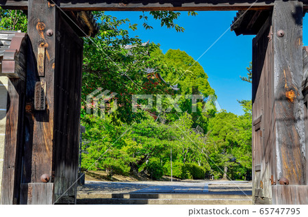 Ninnaji Temple in Kyoto 65747795