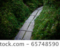 屋久島木路徑 65748590