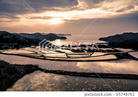 Irino rice terraces 65748761