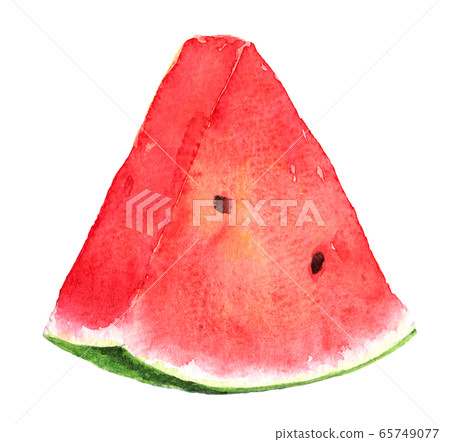Watercolor watermelon _ 1 piece 65749077