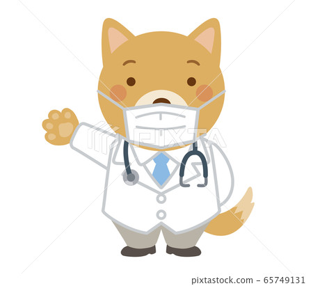 Veterinarian Dog Animal Doctor Doctor Doctor Stock Illustration 65749131 Pixta