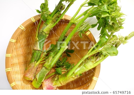 烏冬烏冬面野菜 烏冬烏冬面野菜 65749716