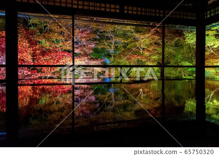京都，Rurikoin，秋天照亮 65750320
