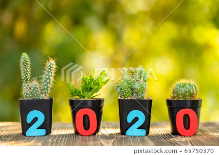 Number 2020 and set of mini cactus in black 65750370
