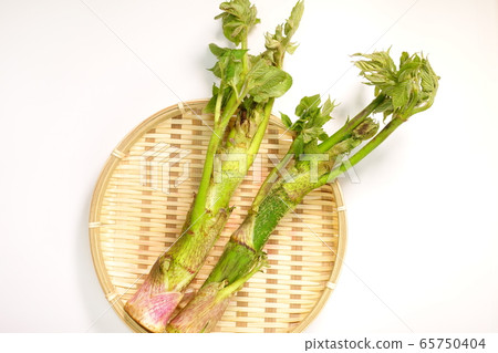 烏冬烏冬面野菜 烏冬烏冬面野菜 65750404