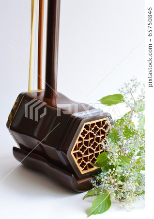 二胡和Koajisai 65750846