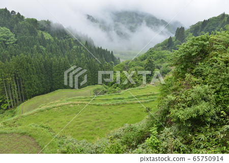 [Shin-onsen Town, Hyogo Prefecture] Satoyama 65750914
