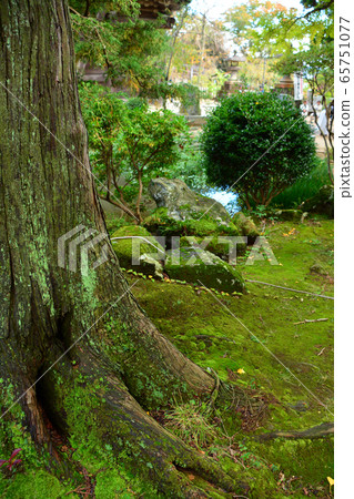 筑波山神社 筑波山神社 65751077