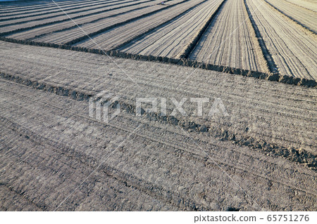 Plow Plow 65751276