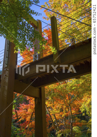 商展紀念公園秋葉 65752421