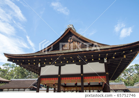 Blue maple of Tadasu no Mori 65752746