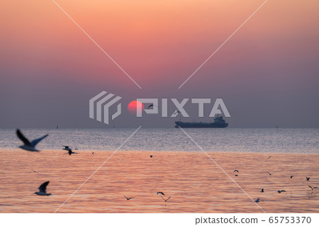 Landscape view in sunset with seagulls Landscape view in sunset with seagulls 65753370