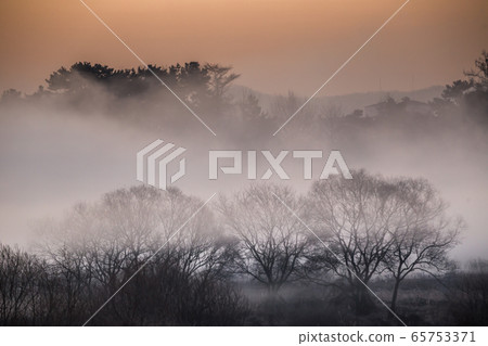 Miho Stream Sunrise 65753371