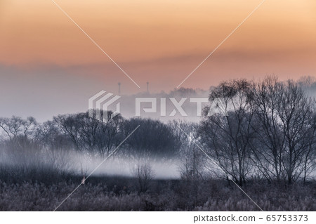 Miho Stream Sunrise 65753373