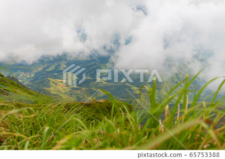 Landscape nature in Phu Thap Boek Thailand. Landscape nature in Phu Thap Boek Thailand. 65753388