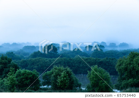 世宗合江公園早上 65753440