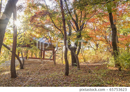 Gwandeokjeong, Changgyeonggung, Jongno-gu, Seoul 65753623