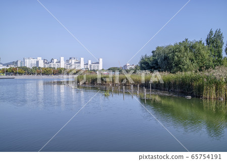 Peace Park, World Cup Park, Mapo-gu, Seoul 65754191