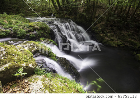 Fresh green 65755118