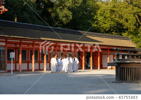 下鴨神社的巫女 照片素材 圖片 圖庫