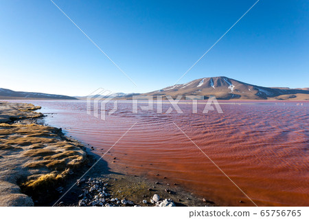 Laguna Colorada view, Bolivia 65756765