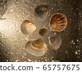 Beautiful Deep Sea background. Shells and in drops of water. 65757675
