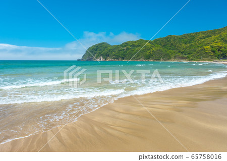 Early summer on the Higashihama coast Early summer on the Higashihama coast 65758016