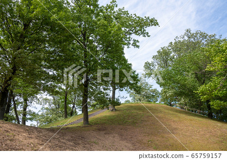 Nomi City, Ishikawa Prefecture / Autumn Tsuneyama Tumulus Park / May 2020 65759157