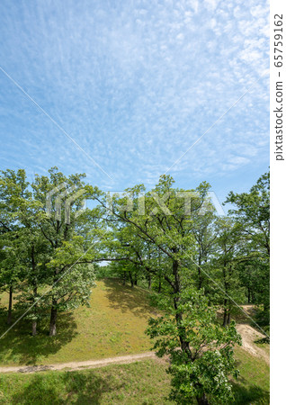 Nomi City, Ishikawa Prefecture / Autumn Tsuneyama Tumulus Park / May 2020 65759162