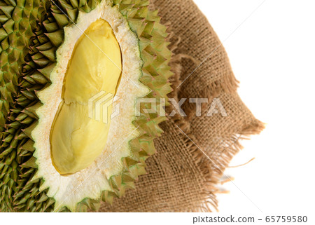 Close up of yellow durian in side Mon Thong durian 65759580