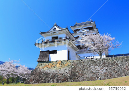 [Ehime Prefecture] Ozu Castle in full bloom 65759932