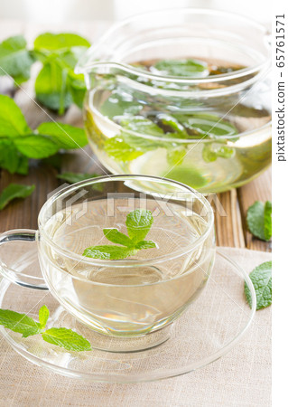 Spearmint mint tea / herbal tea 65761571