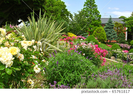 Hill Park where Yokohama · Harbor can be seen 65761817
