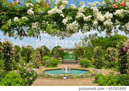 Hill Park where Yokohama · Harbor can be seen 65761989
