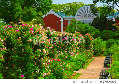 可以看到橫濱·港口的山公園 可以看到橫濱·港口的山公園 65762005