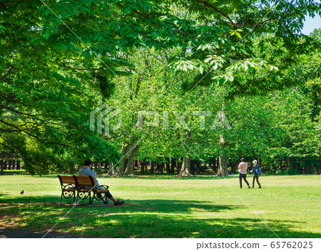 Fresh green park Fresh green park 65762025