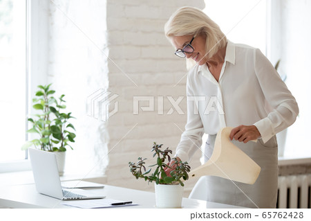 Middle-aged businesswoman water green plant in office Middle-aged businesswoman water green plant in office 65762428